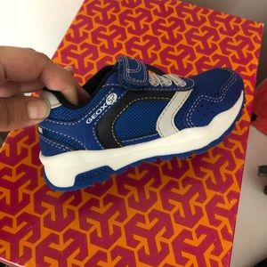Toddler Boys size 8 Geox shoes